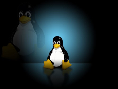 Linux Kernelϵͳ����